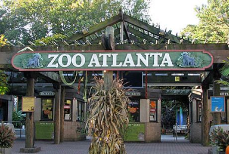 Zoo Atlanta | Cabin Rentals of Georgia