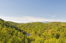 Riverview Lodge | Cabin Rentals of Georgia | Panoramic View