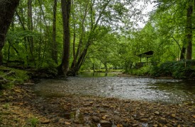 Creekside Green | Cabin Rentals of Georgia | Peaceful Fightingtown Creek