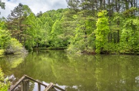 Creekside Green | Cabin Rentals of Georgia | Swim, Tube, or Fish on the Pond which Borders the Property!
