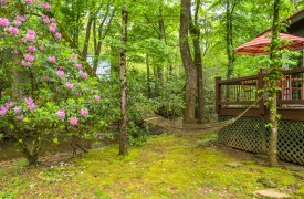 Creekside Green | Cabin Rentals of Georgia | Curl Up with a Book in the Hammock