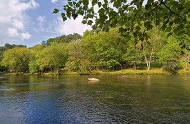Riverview Lodge | Cabin Rentals of Georgia | Toccoa River