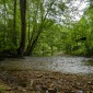 PeacefulFightingtownCreek