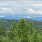 TheMountainsCalled...andYouCame